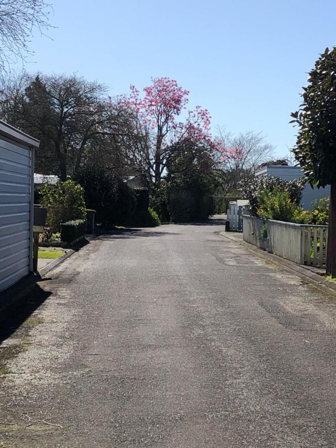 Inglewood Shared Home Bnb New Plymouth Buitenkant foto